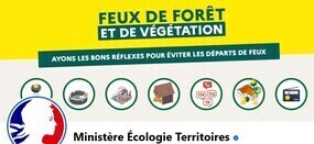 Feux de forêt