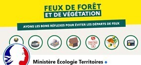 Feux de forêt